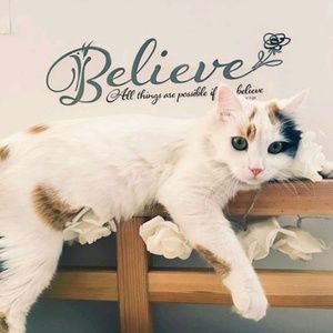 Meet your Posher, Richele